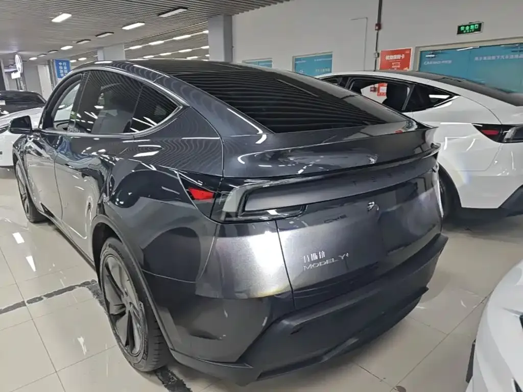 Tesla Model Y — фото 8