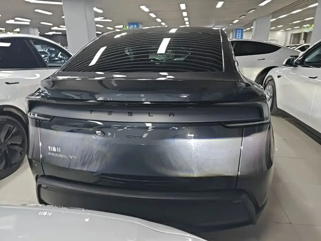 Tesla Model Y — фото 10