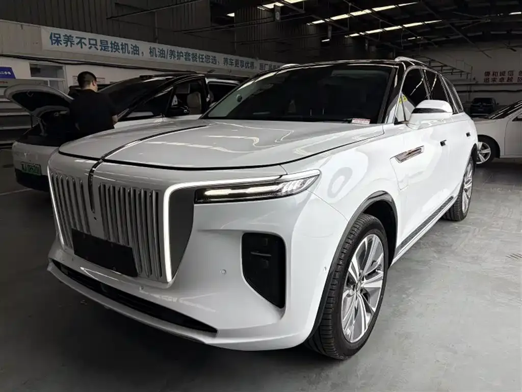 Hongqi E-HS9 — фото 1