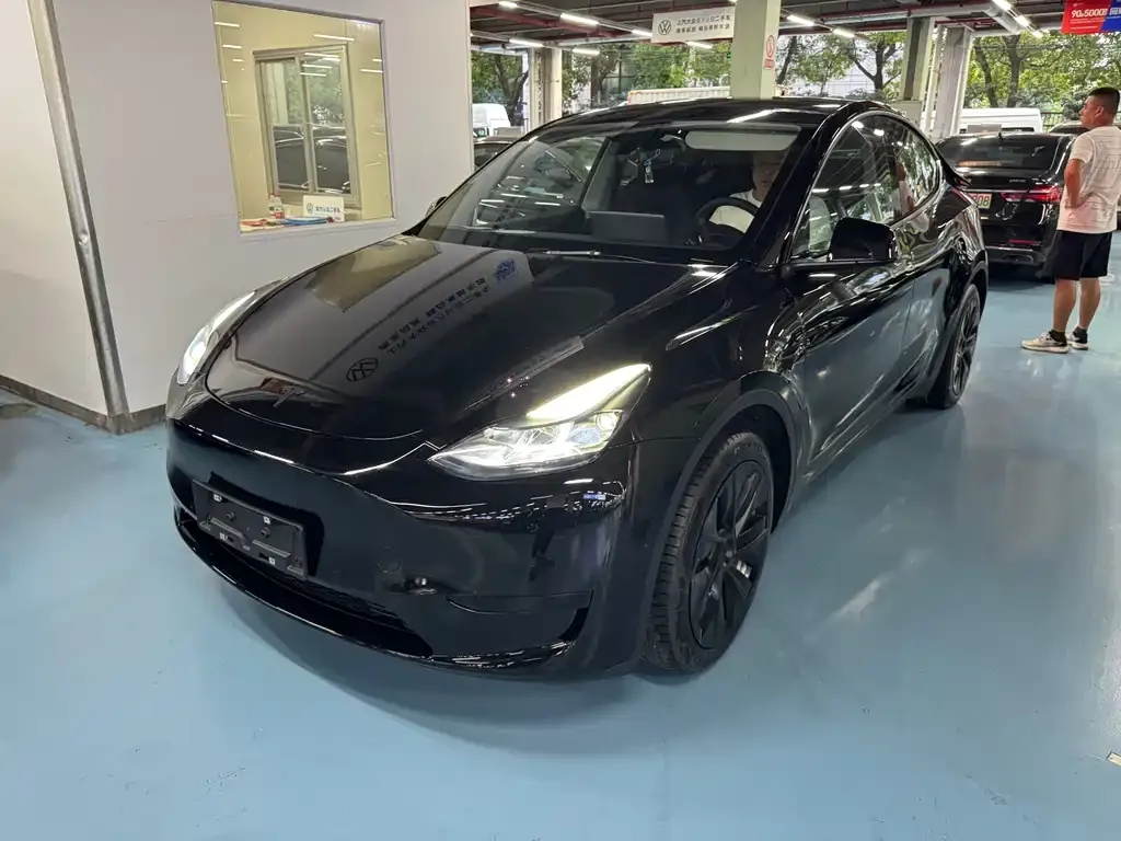 Tesla Model Y — фото 1