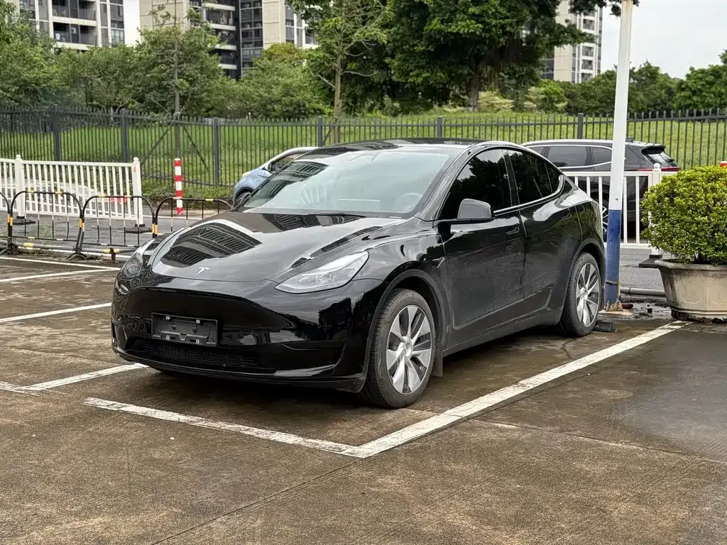 Tesla Model Y — фото 1