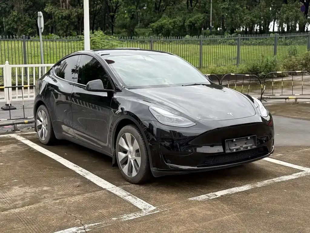 Tesla Model Y — фото 9