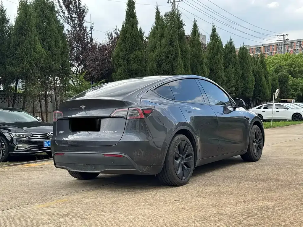 Tesla Model Y — фото 9