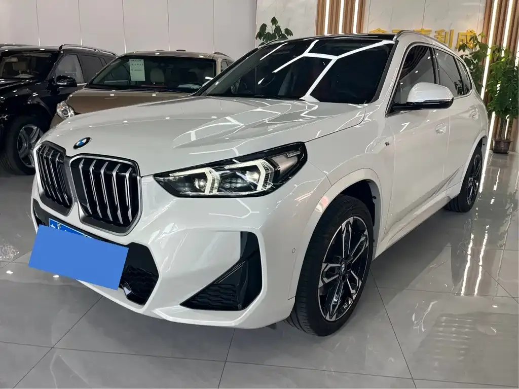 BMW X1 — фото 1