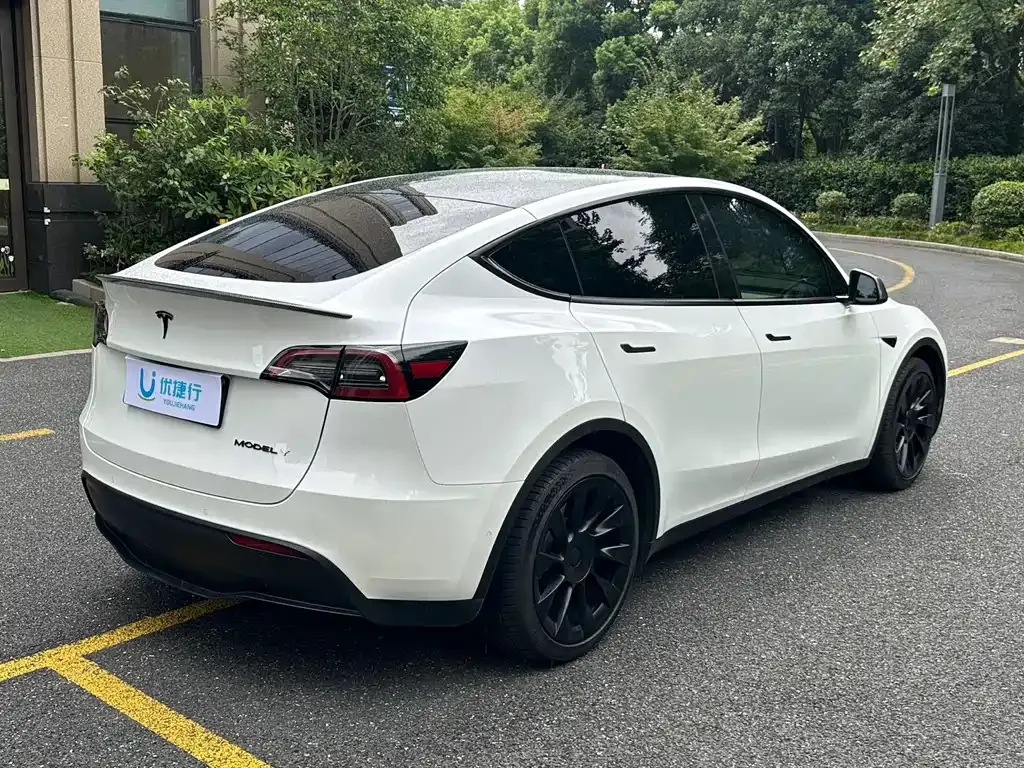 Tesla Model Y — фото 10