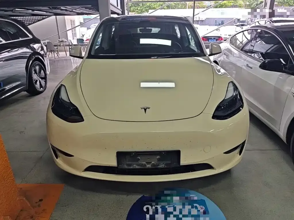 Tesla Model Y — фото 3