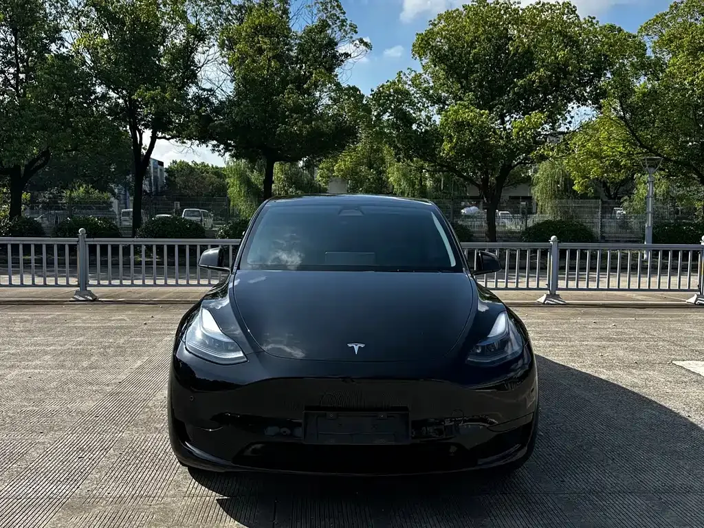 Tesla Model Y — фото 1