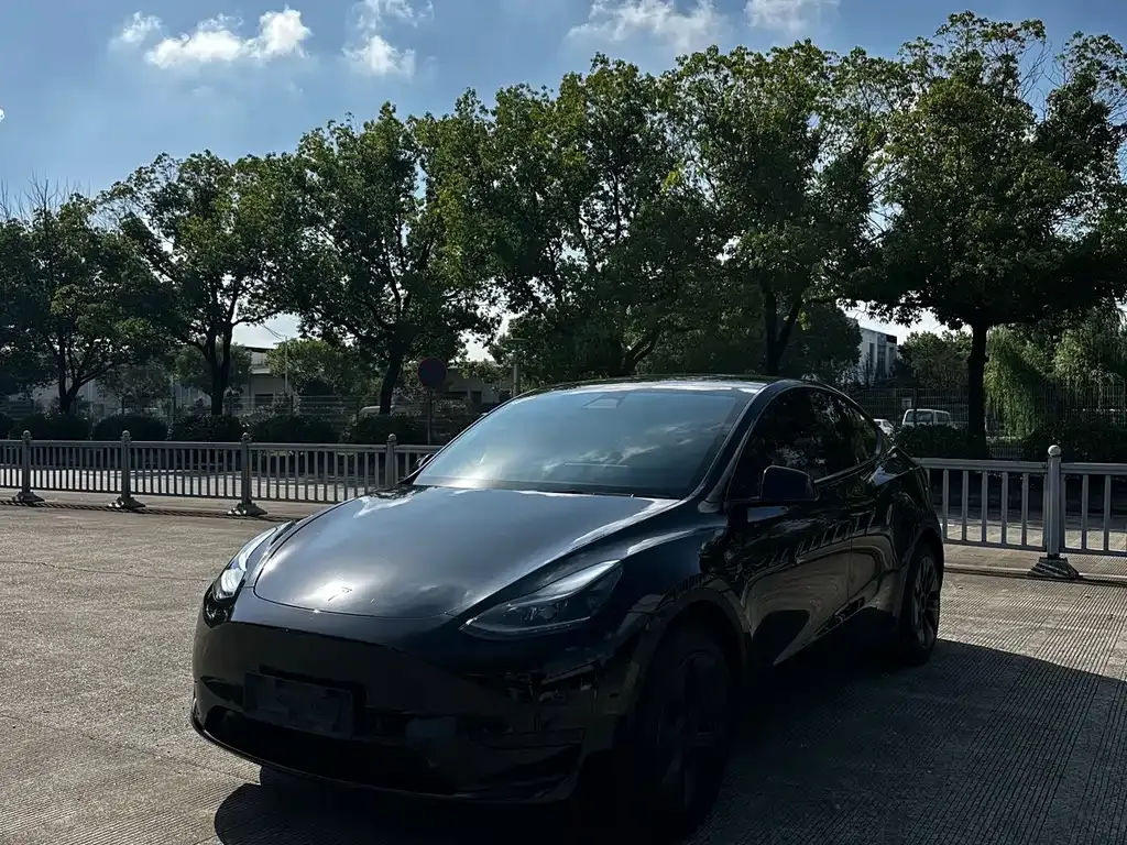 Tesla Model Y — фото 8