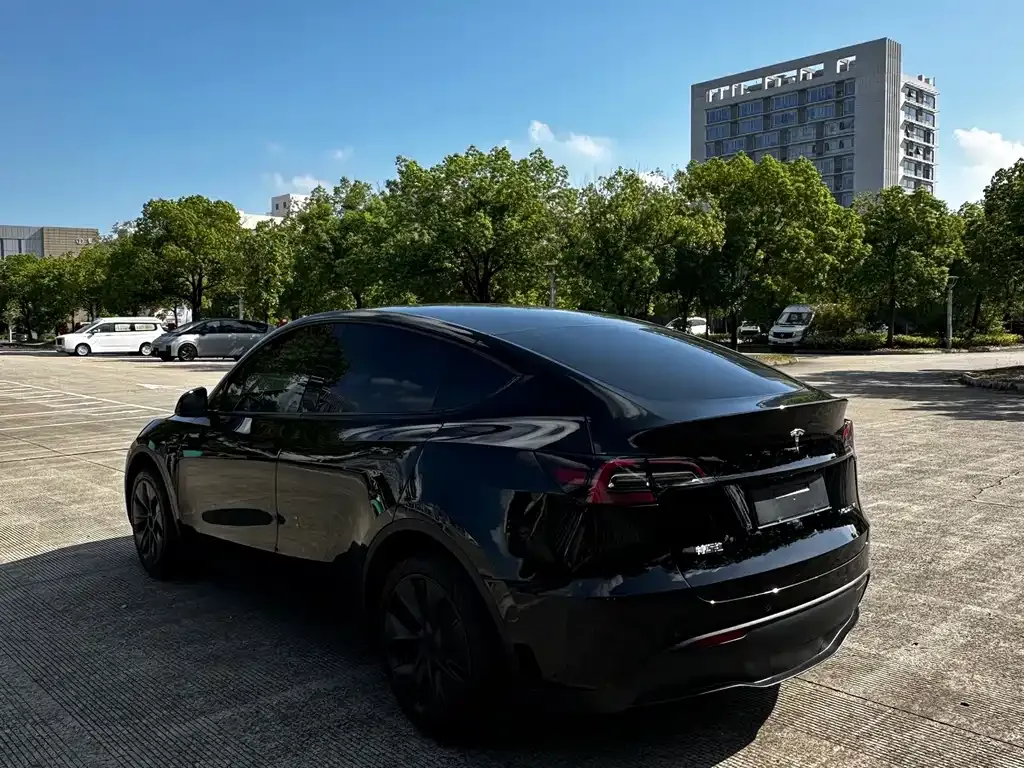 Tesla Model Y — фото 9