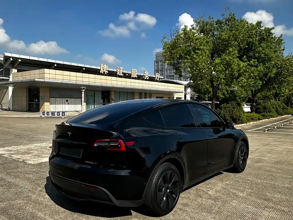 Tesla Model Y — фото 7