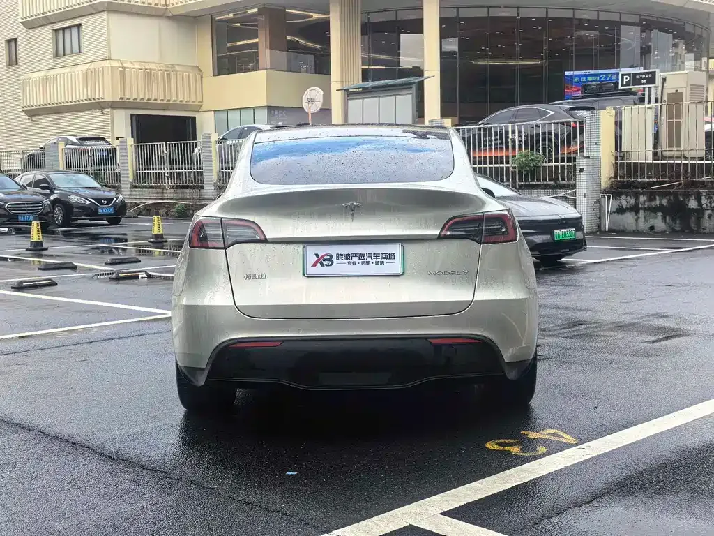Tesla Model Y — фото 10