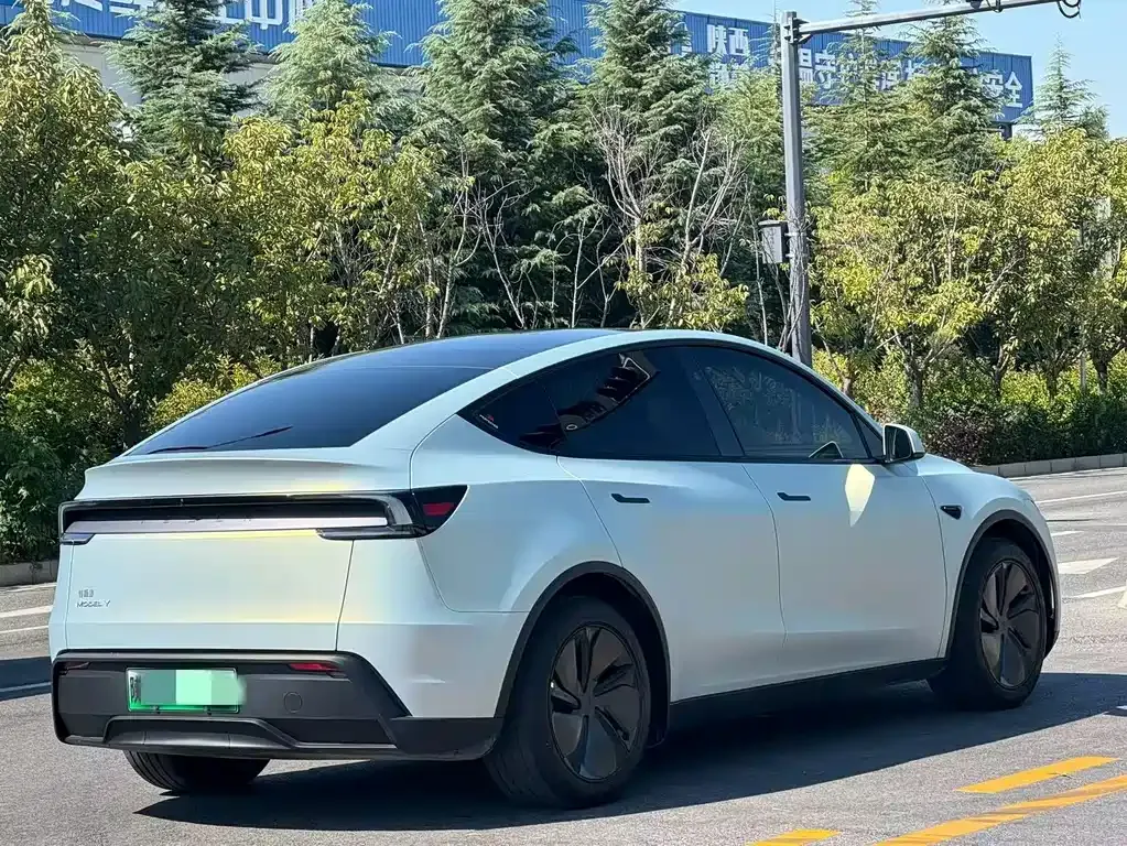 Tesla Model Y — фото 8