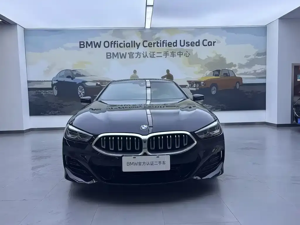 BMW 8 Series — фото 10