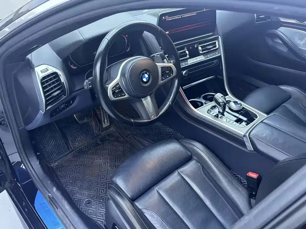 BMW 8 Series — фото 5