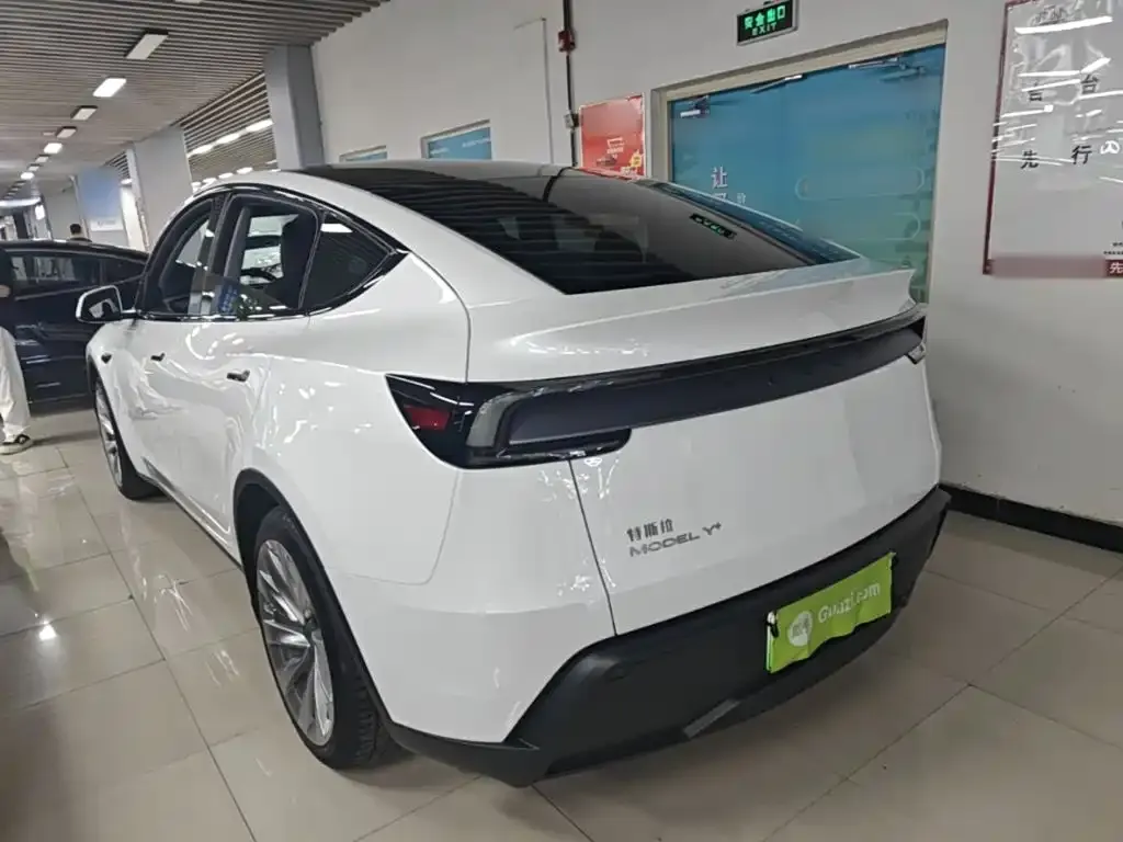 Tesla Model Y — фото 8