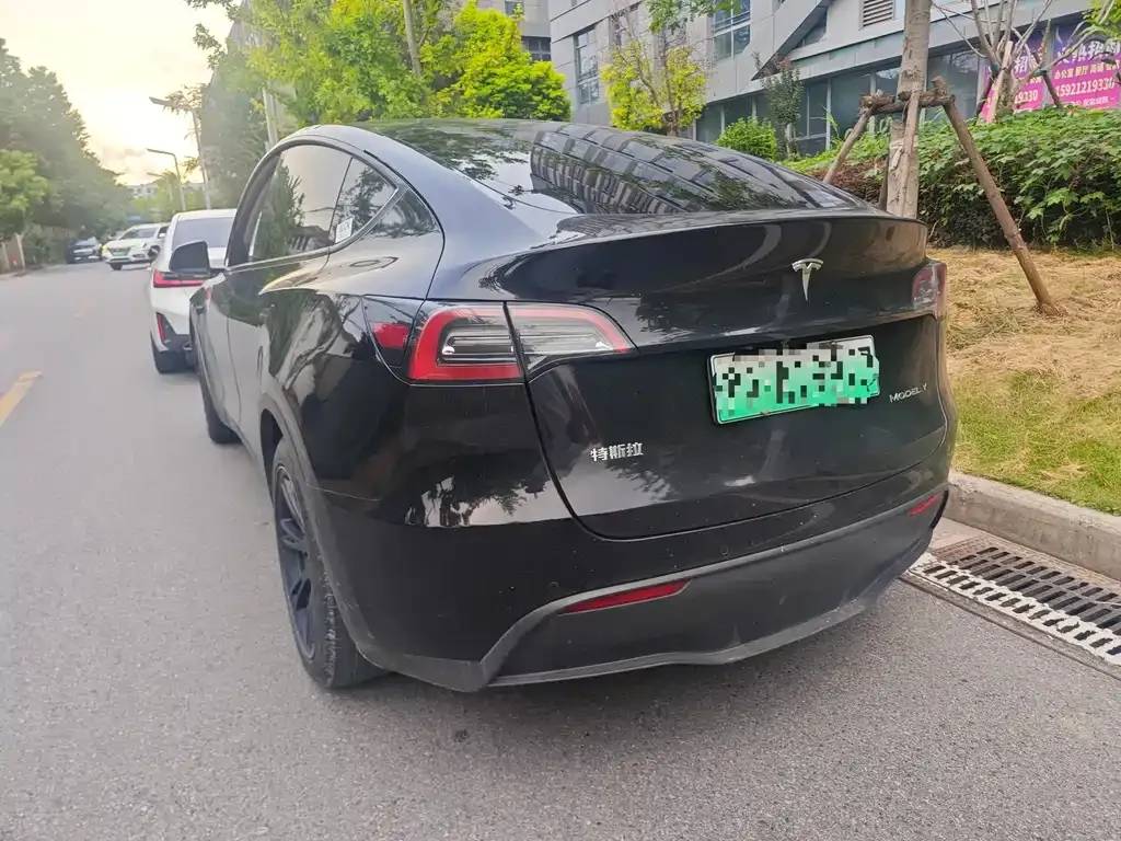 Tesla Model Y — фото 8