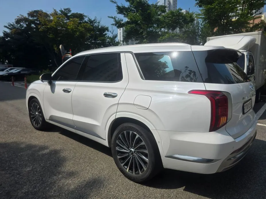 Hyundai Palisade — фото 9