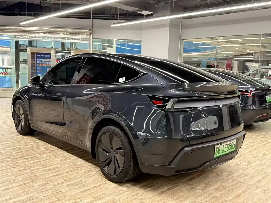 Tesla Model Y — фото 6