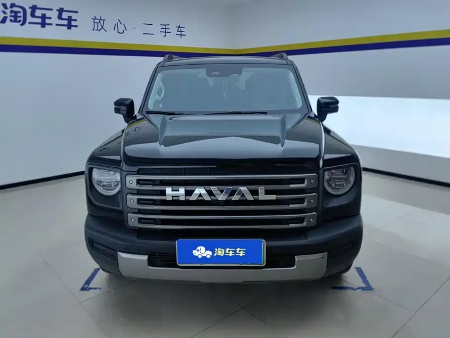 Haval Menglong New Energy — фото 7