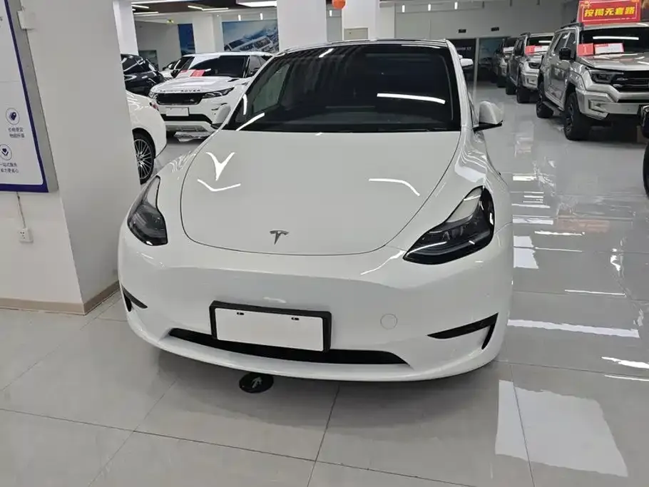 Tesla Model Y — фото 9