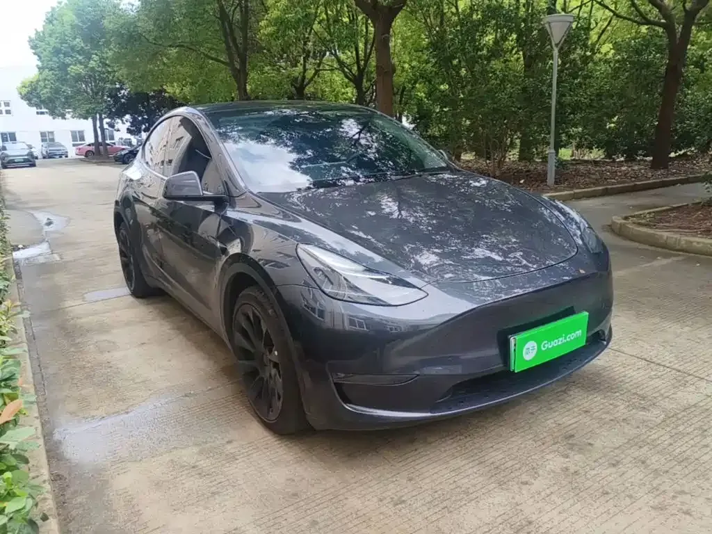 Tesla Model Y — фото 9