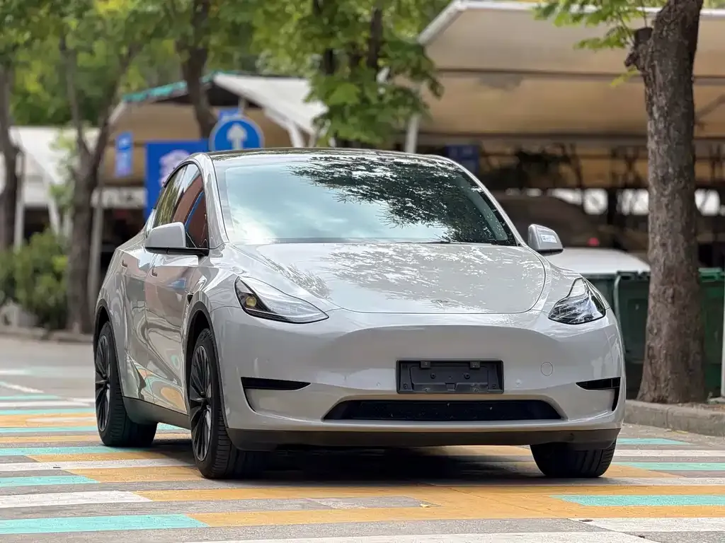 Tesla Model Y — фото 9