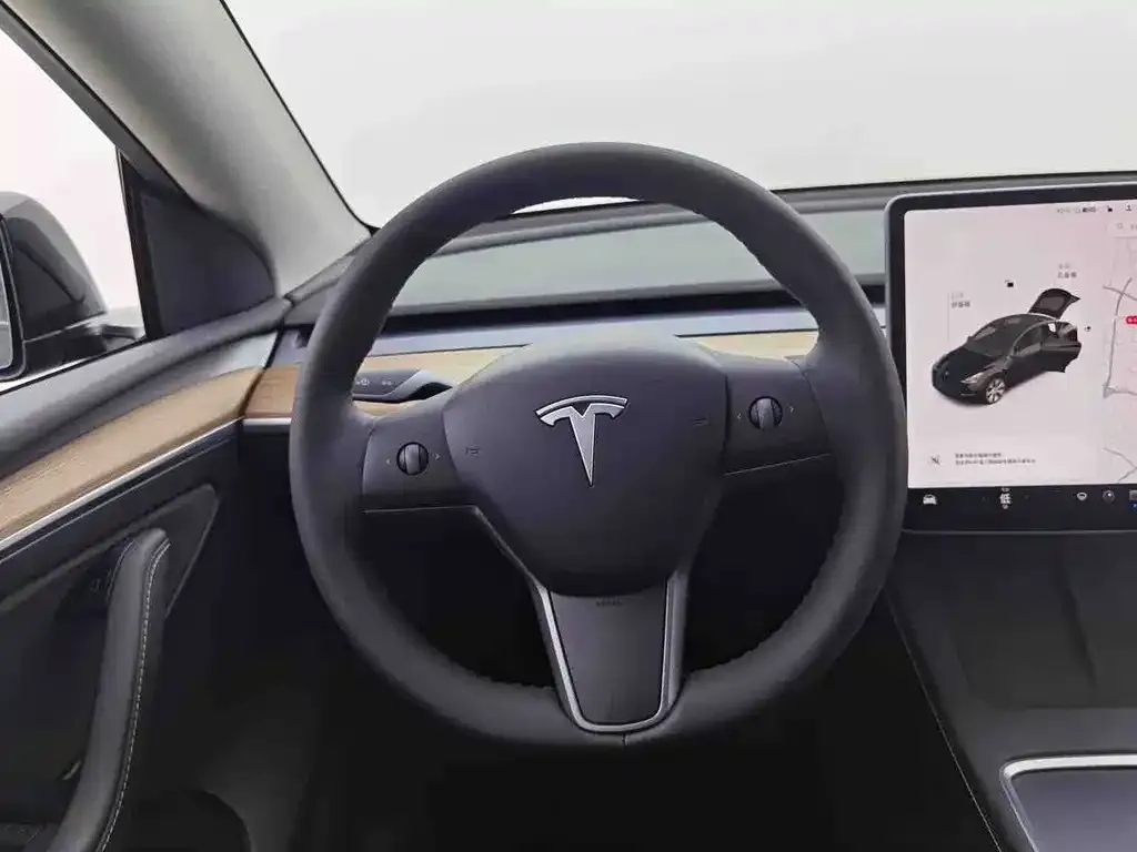 Tesla Model Y — фото 2