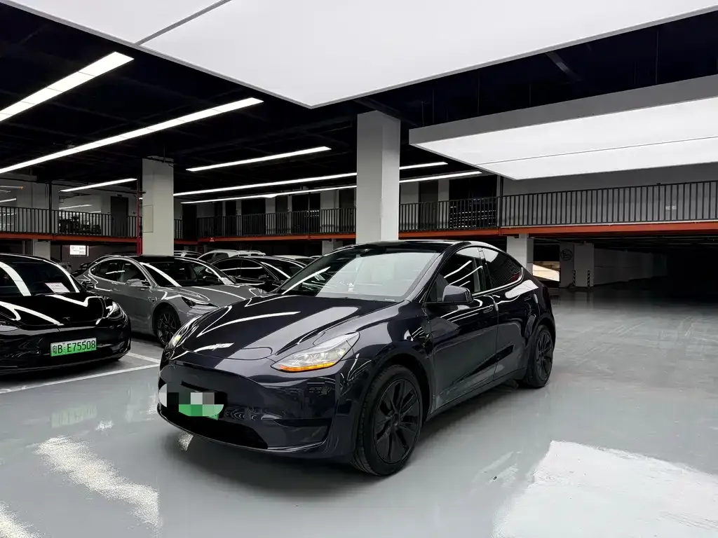 Tesla Model Y — фото 1