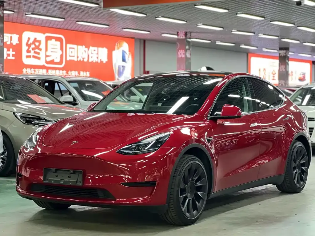 Tesla Model Y — фото 1