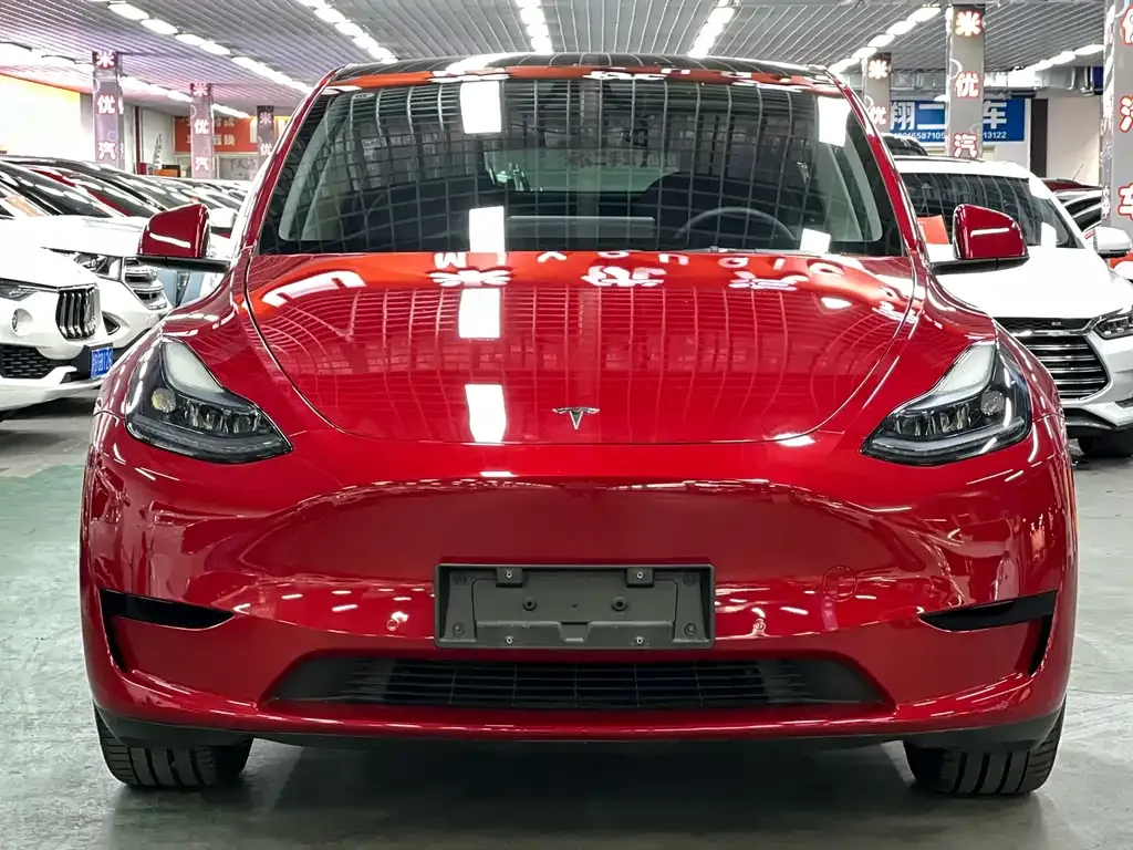 Tesla Model Y — фото 10