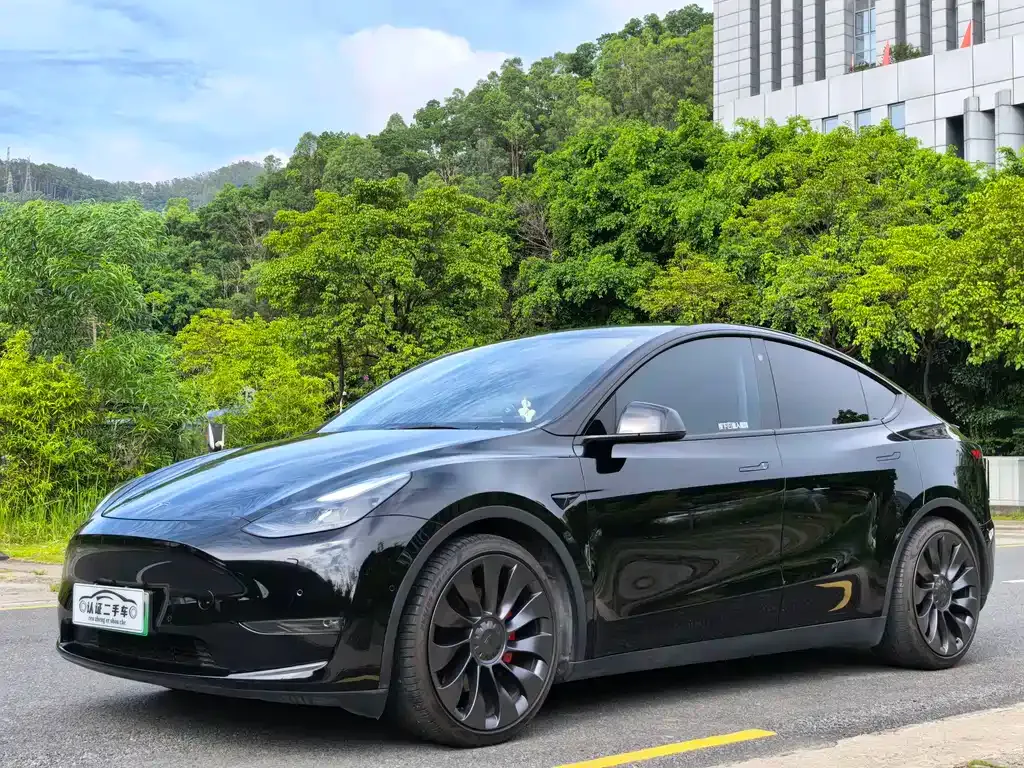 Tesla Model Y — фото 1