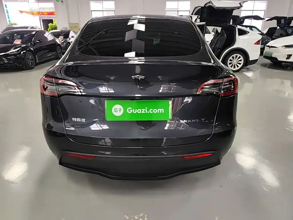 Tesla Model Y — фото 10