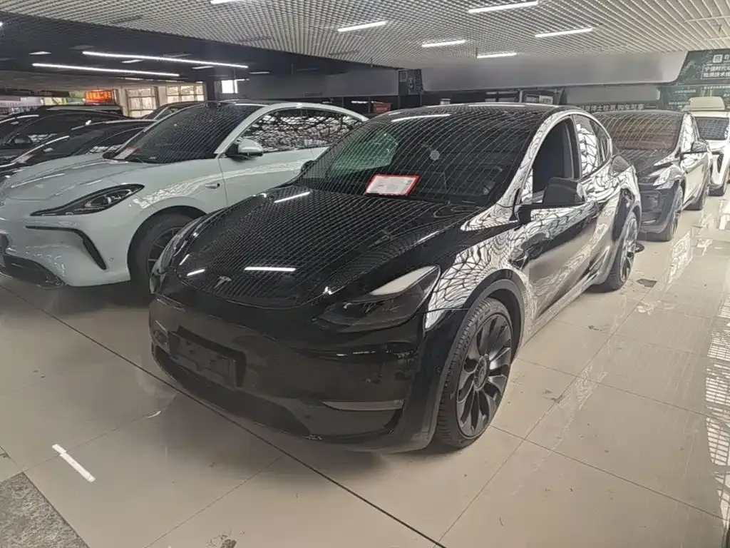 Tesla Model Y — фото 2
