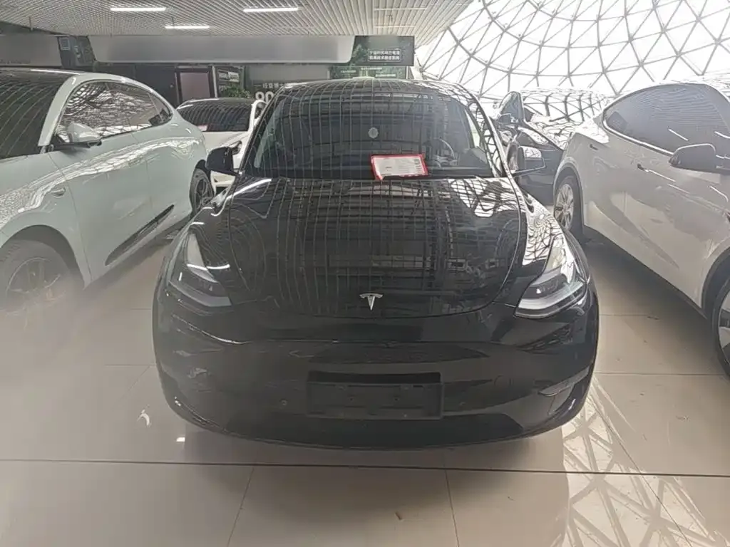 Tesla Model Y — фото 6