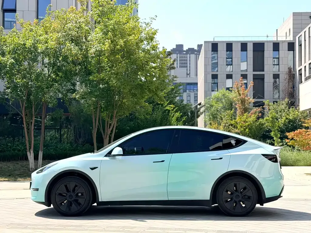 Tesla Model Y — фото 6