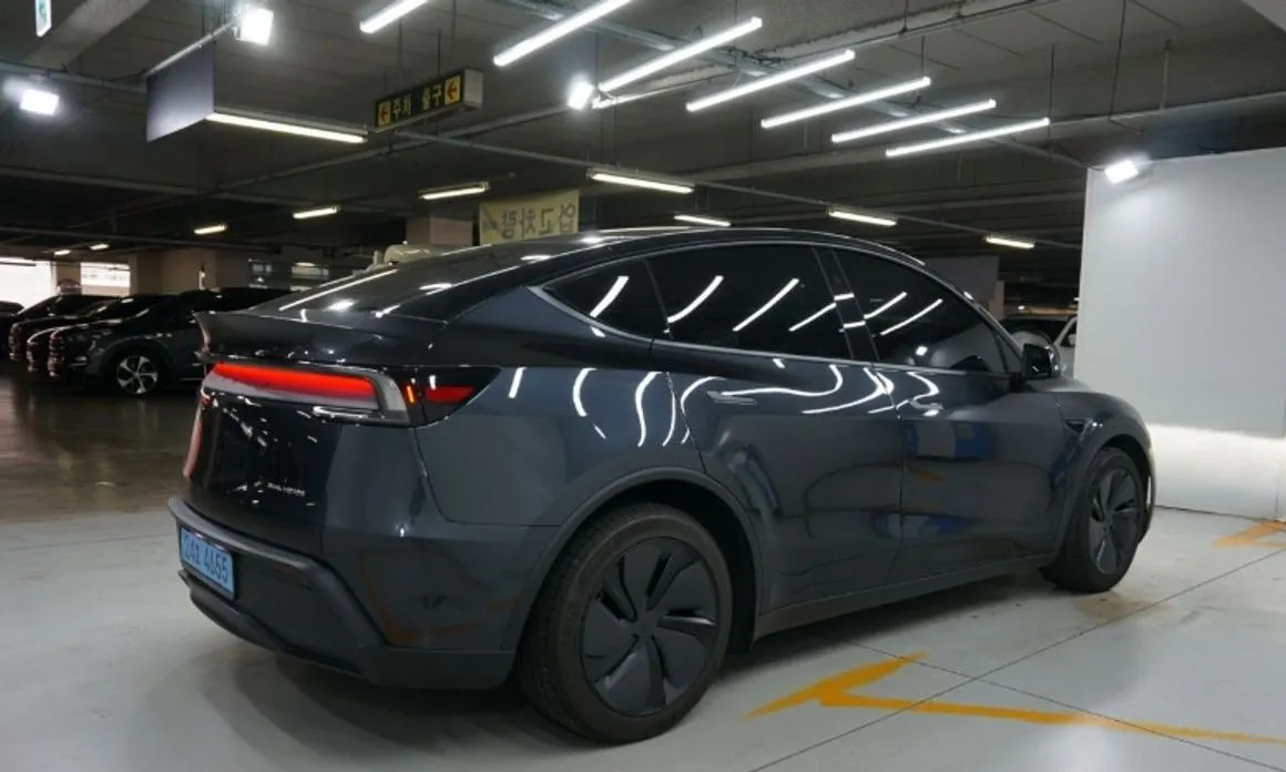 Tesla Model Y — фото 9