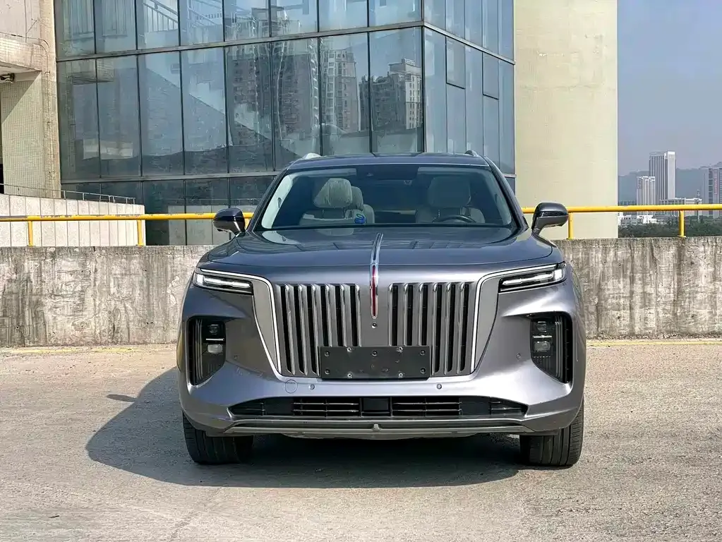 Hongqi E-HS9 — фото 10