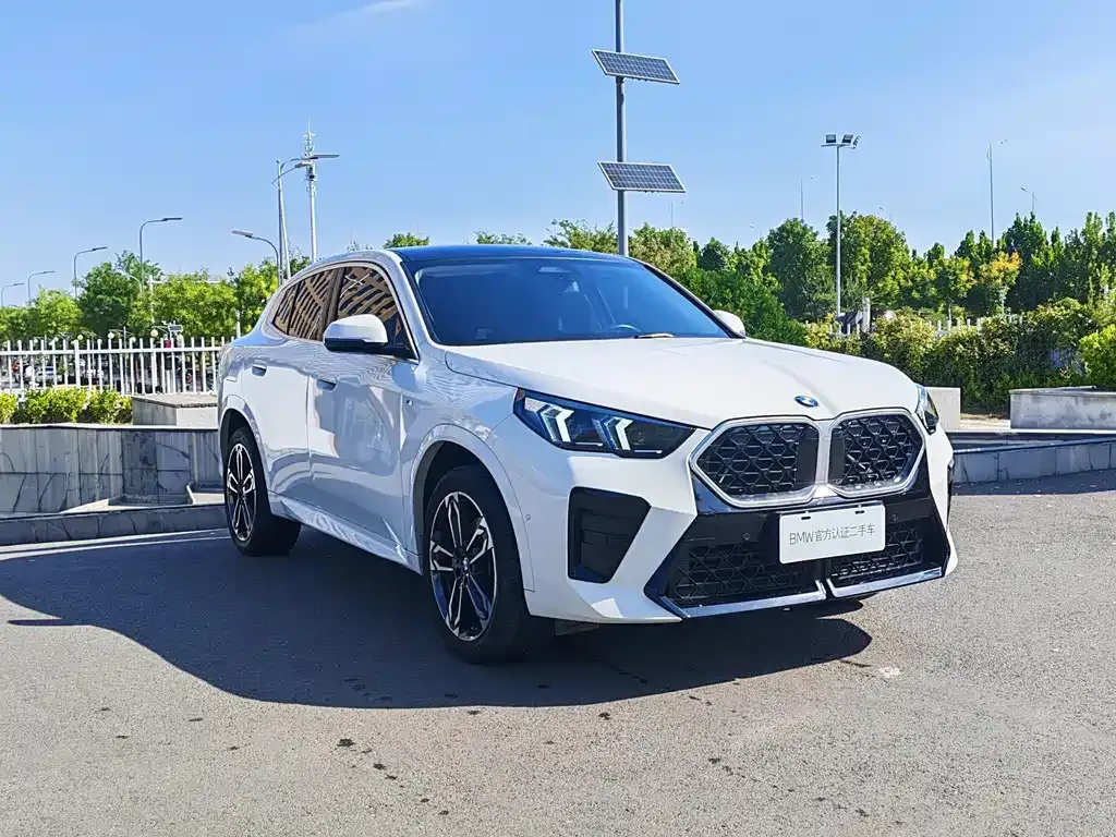BMW X2 (Import) — фото 7