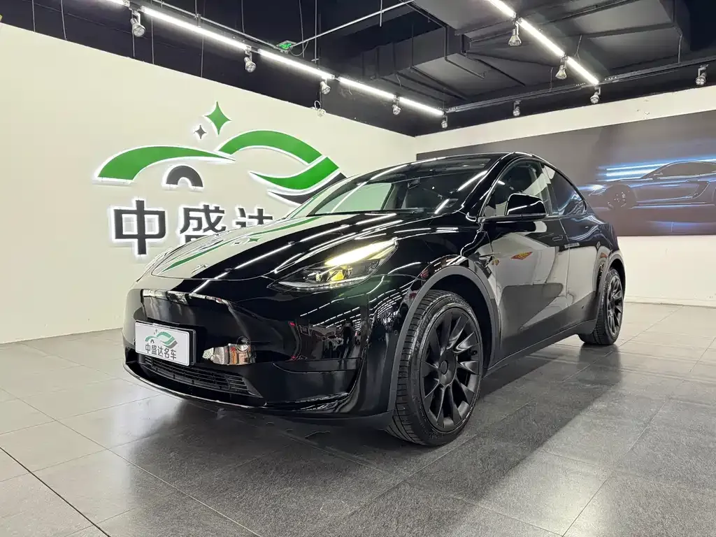Tesla Model Y — фото 1