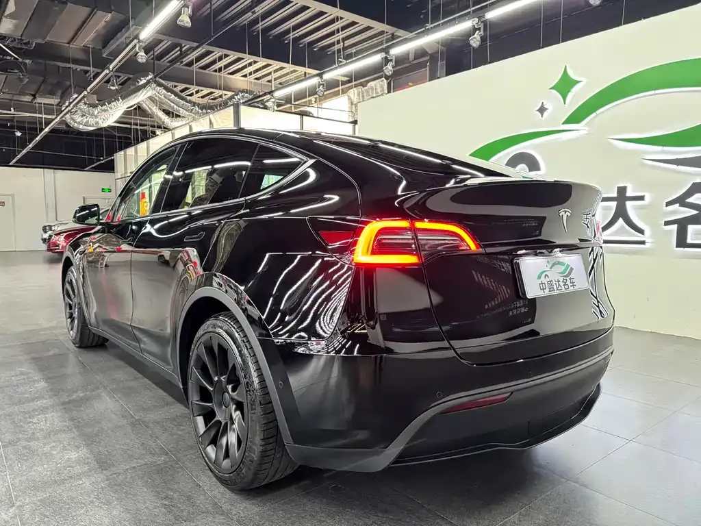 Tesla Model Y — фото 10