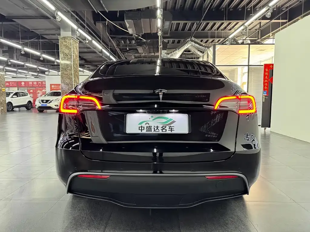 Tesla Model Y — фото 2