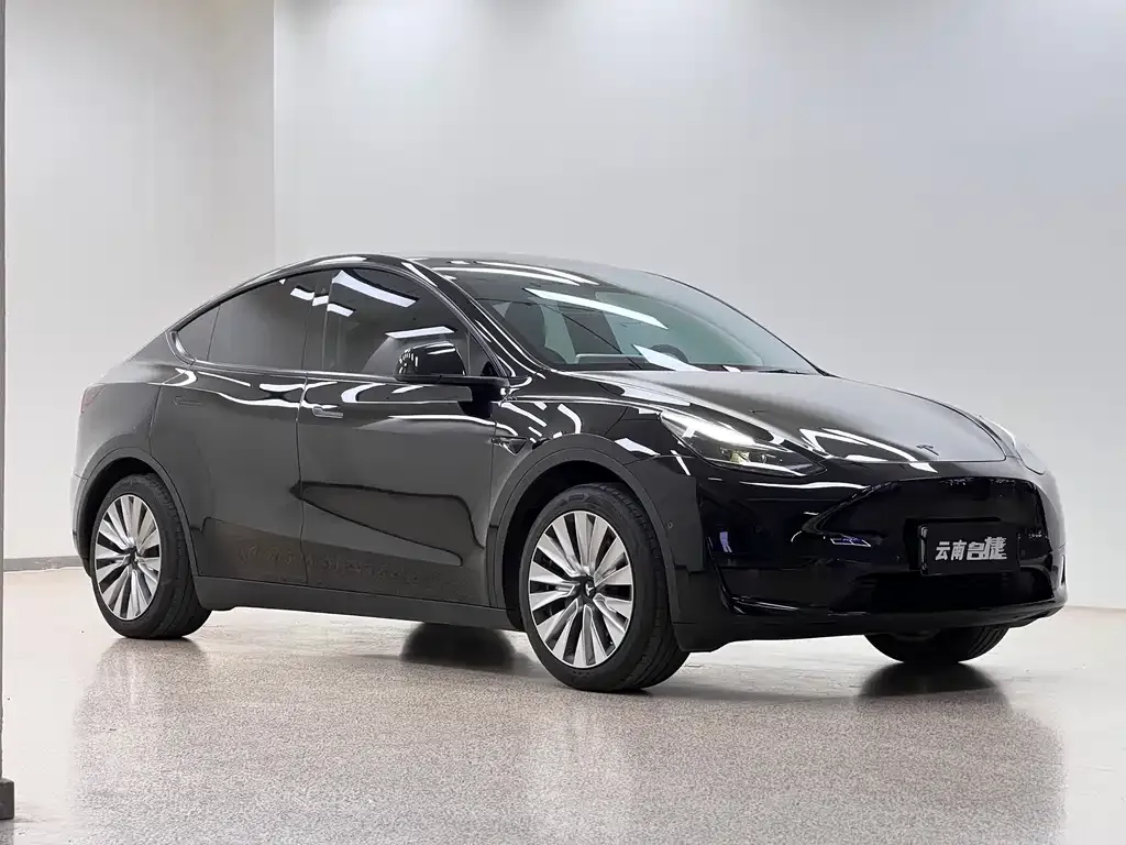 Tesla Model Y — фото 10