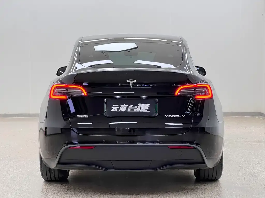 Tesla Model Y — фото 9