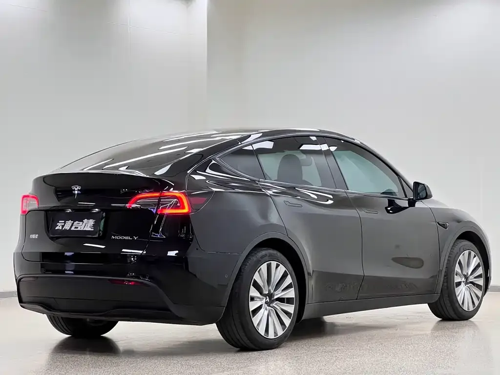 Tesla Model Y — фото 2