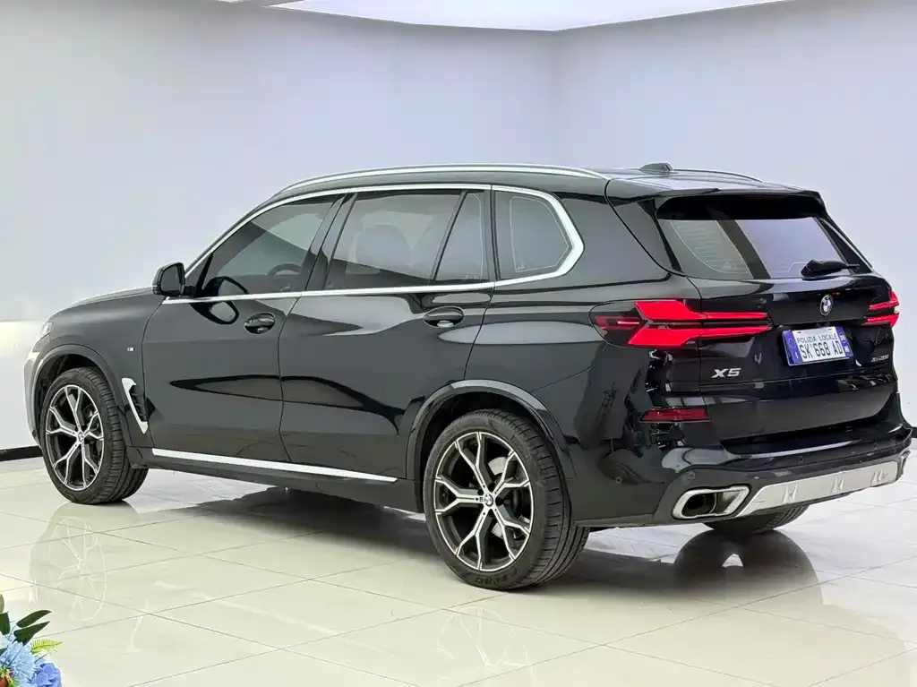BMW X5 — фото 10