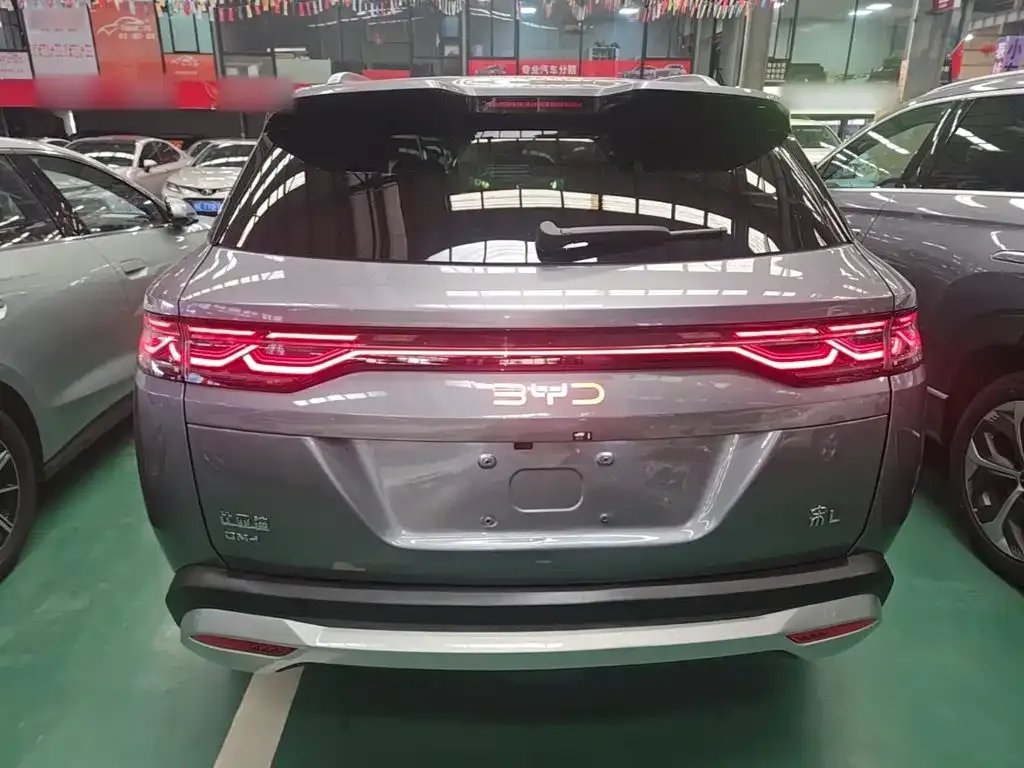 BYD L DM-i — фото 6
