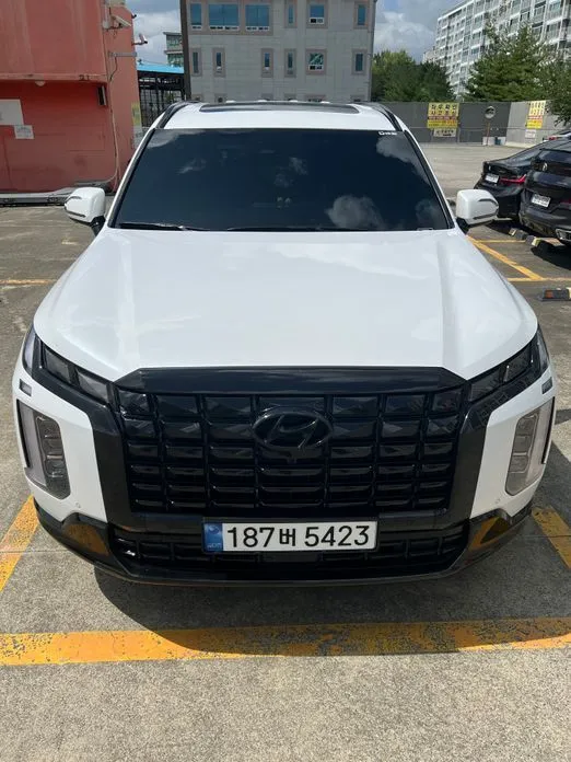 Hyundai Palisade — фото 1