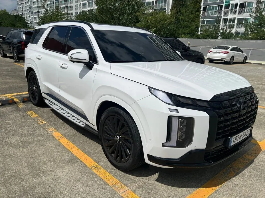 Hyundai Palisade — фото 9