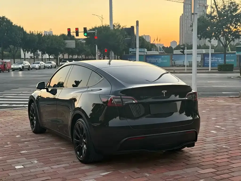 Tesla Model Y — фото 4