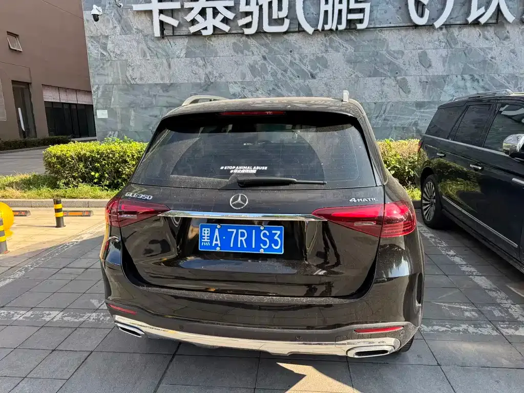 Mercedes-Benz GLE (Import) — фото 8